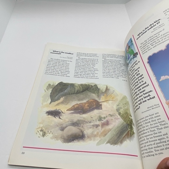 Do Cats Really Have Nine Lives? By Jack Myers 1993 - Picture 6 of 7